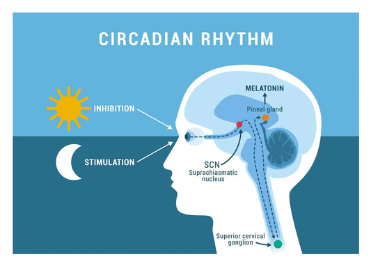 The Connection Between Hormonal Health and Better Sleep: What You Need to Know