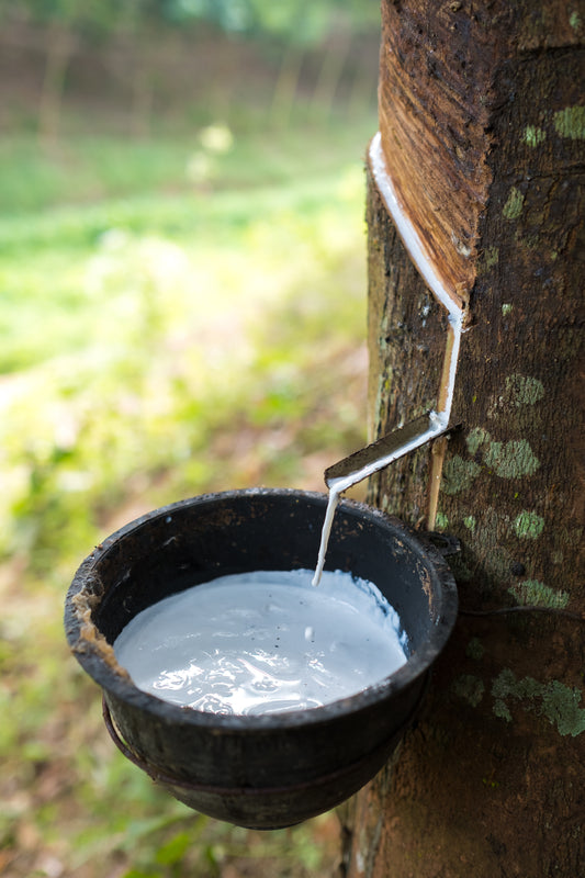 Advantages of Natural Latex