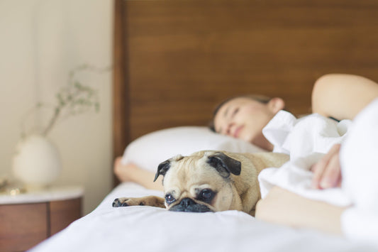 The Importance of a Quality Pillow