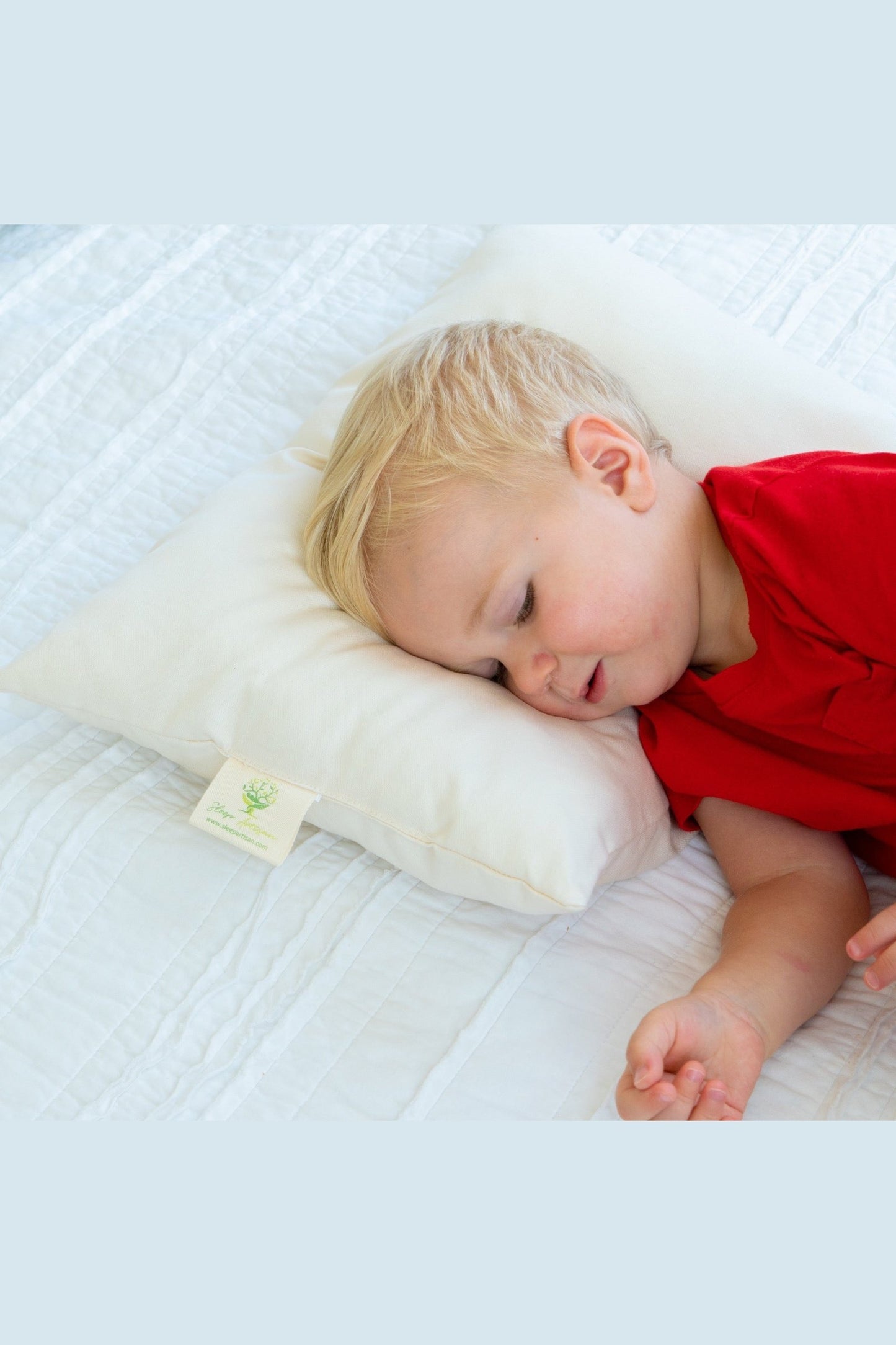 Organic Cotton Cover Toddler Pillow - Small Pillow for Travel - Made in USA