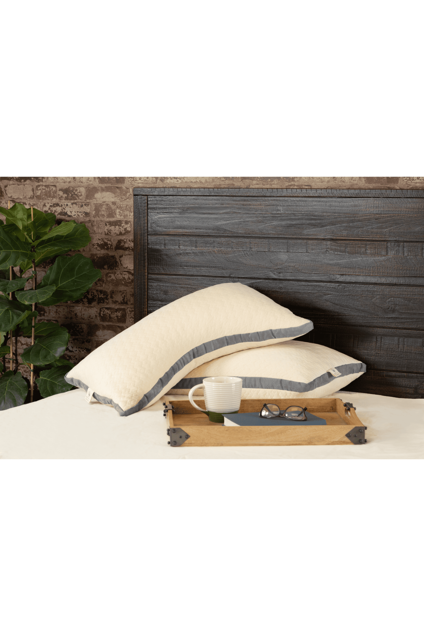 Organic Eco-Friendly Kapok Fiber and Natural Latex Bed Pillows - Side Sleeper Pillow - King, Queen, Standard Size - Cooling bed pillows for Side and Back Sleepers